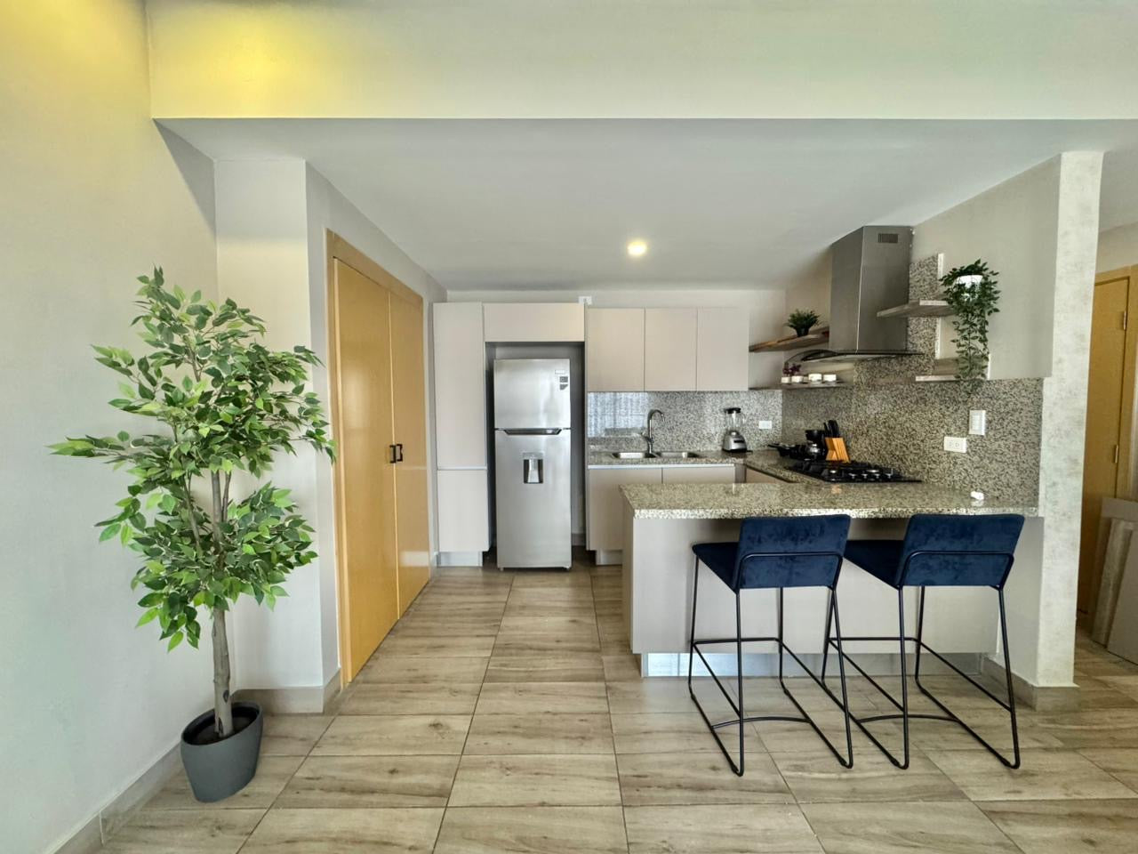 Apartamento en Alquiler Amueblado piantini