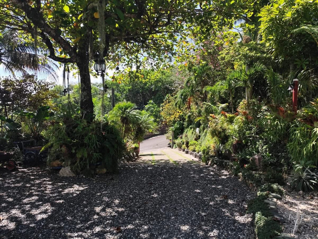 Vendo Villa 
📍 Sector El Mogote | Km 53 Autopista Duarte