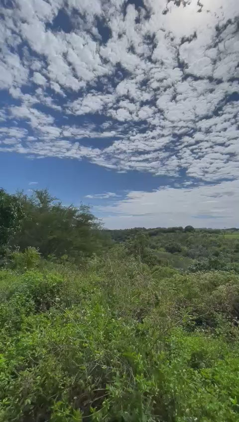 VENDO FINCA EN YAGUATE

Sector Cristóbal
